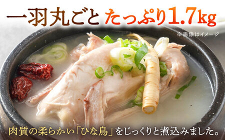 参鶏湯（サムゲタン）1羽分 [ADAE002] 大容量 おいしい 人気 鍋