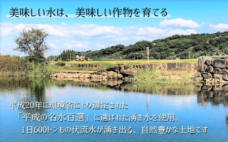 かめまる農園の「ひのひかり」10kg | 米 こめ お米 おこめ 白米 精米 ひのひかり 熊本県産 熊本県 玉名市