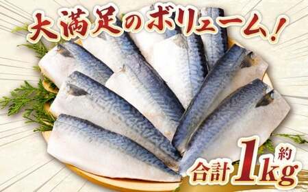 【訳あり】国産 ふっくら 極み塩サバ 計約1kg ／ 1切れ 塩サバ 塩さば 塩鯖 さば サバ 鯖 魚