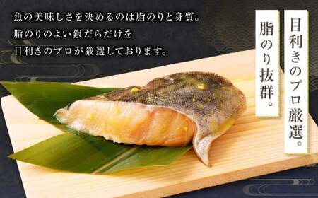 【3ヶ月定期便】西京漬け 極み銀だら 8枚セット ／ 計約1.68kg 3ヶ月 3回 西京味噌 銀だら 鱈 たら タラ 魚 海鮮 魚介 漬け魚 漬魚 焼き魚 切り身 切身 おかず おつまみ セット 定期便 茨城県 神栖市 冷凍