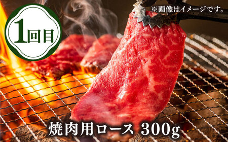 【全3回定期便】壱岐牛定期便（壱岐牛ステーキ、しゃぶすき、焼き肉セット）2人前《壱岐市》【壱岐市農業協同組合】壱岐牛 すき焼き ステーキ しゃぶしゃぶ 焼肉 [JBO165]