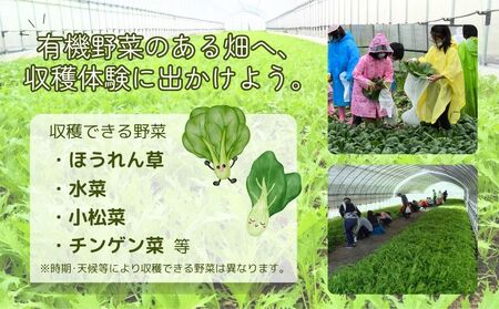 有機農業 収穫体験 ツアー お土産付 5名様迄／ 農家 有機野菜 オーガニック 無農薬 SDGs 関西 チケット カレー 山口農園 奈良県 宇陀市 ふるさと納税