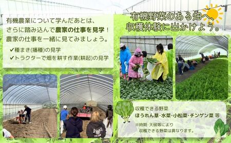 有機農業 就業体験 ツアー お土産付 10名様迄／ 収穫体験 種まき トラクター 農家 有機野菜 オーガニック 無農薬 SDGs 関西 チケット カレー 山口農園 奈良県 宇陀市 ふるさと納税