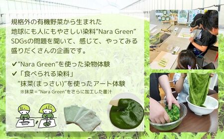 有機農業 染物 アート 体験 お土産付 5名様迄／ 畑見学 食べられる染料 Nara Green 抹菜 農家 有機野菜 オーガニック 無農薬 SDGs 関西 チケット カレー 山口農園 奈良県 宇陀市 ふるさと納税