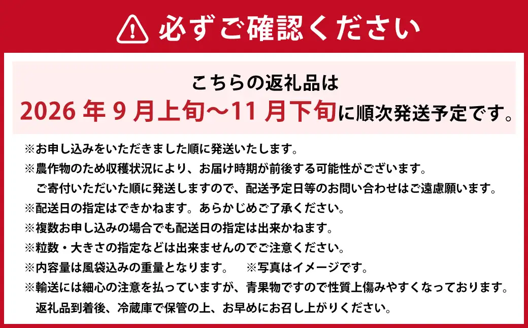 【岡山県産】 シャインマスカット 約600g 【2026年9月上旬〜11月下旬発送予定】 ／ ぶどう ブドウ 葡萄 マスカット 種なし 種無し フルーツ 果物 くだもの 果実