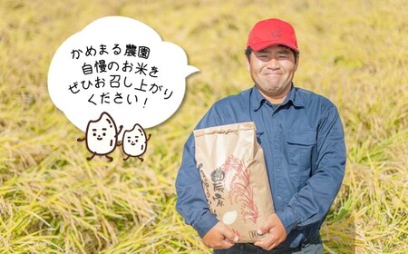かめまる農園の「ひのひかり」5kg（2ヶ月毎×3回） | 米 こめ お米 おこめ 白米 精米 定期便 熊本県産 熊本県 玉名市