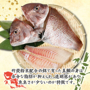 真鯛 1匹分 フィーレ お炭付き鯛