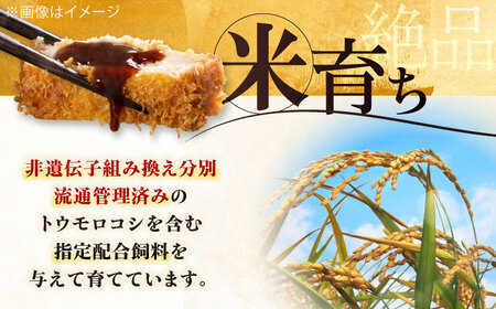 【全6回定期便】平田牧場 ロース ブロック 400g  豚肉 ローストポーク 煮豚 [AJAP167]
