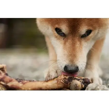 高品質!犬用鹿骨ジャーキー2Pセット【1472449】