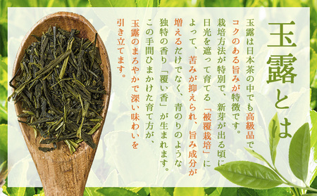 玉露 入り 水出し 緑茶 20パック×1袋 《30日以内に出荷予定(土日祝除く)》 福岡県 小竹町 お茶 茶 送料無料