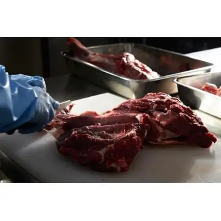高品質!犬用鹿肉粗びきミンチ(ボイル冷凍)【配送不可地域：離島】【1598970】