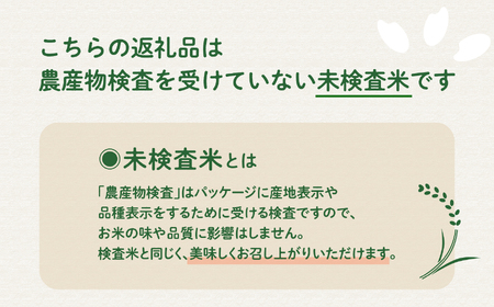 【先行予約】令和8年産 新米 ミルキークイーン 10kg  お米 こめ コメ 精米 白米 南種子町 鹿児島 かごしま 【8月上旬より順次発送予定】【株式会社こめこめアイランド】
