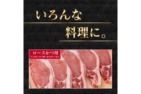 宮崎県産 豚肉 豚ロース バラエティー セット 合計1.5kg ポーク 国産 食品 万能食材 とんかつ スライス しゃぶしゃぶ トンカツ おかず お弁当 おつまみ 焼肉 炒め物 おすすめ ご褒美 お祝い 記念日 パーティー お取り寄せ グルメ 詰め合わせ 日南市 送料無料_BB119-23