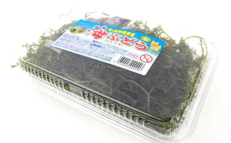 美ら海 沖縄県産 海ぶどうセット／茎あり400g（200g×2パック）ポン酢付