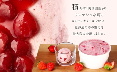 ジェラート ストロベリーソースミルクジェラート 500ml×2個