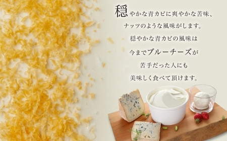ジェラート 二世古ブルーチーズ空【ku:】 500ml×2個