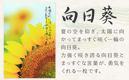 季節の 絵 と 書 向日葵 絵 楠戸宇亭
