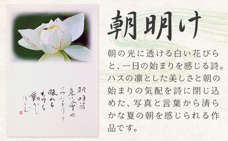 季節の 絵 と 書 朝明け 絵 楠戸宇亭