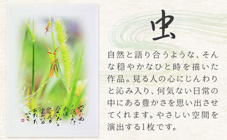 季節の絵と書 虫 絵 楠戸宇亭