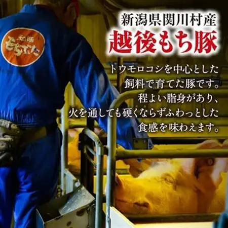 [小分けパックがうれしい] 越後もち豚肩ロース肉(しゃぶしゃぶ用) 合計900g_越後もち豚 肩ロース しゃぶしゃぶ_【配送不可地域：離島】【1644024】