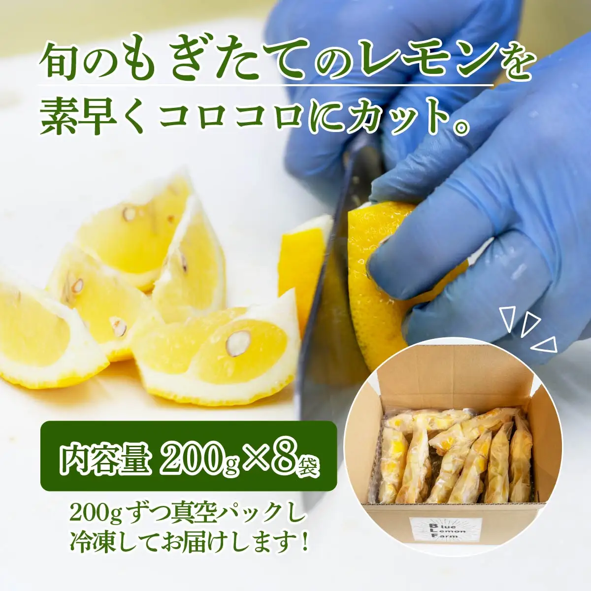 レモン カットレモン 冷凍 200g×8パック 数量限定