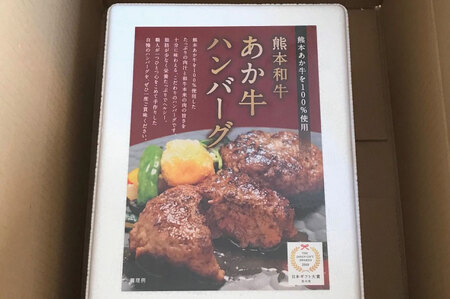 B299-15 あか牛100％ハンバーグ セット（あか牛ハンバーグ120g×6個）