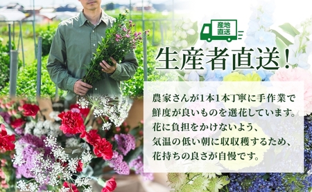 ＜選べる配送月＞ 北海道 カーネーション ミックス 4品種 12本以上 切り花 切花 花束 ブーケ 季節 旬 生花 フラワー アレンジメント 記念日 産地直送 つきがたふるさと花の会 6月お届け