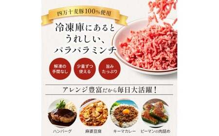四万十麦豚 パラパラミンチ 2kg（500g×4袋）麦豚 ミンチ 冷凍 Ahc-22