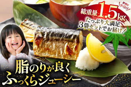 さば 切身 計1.5kg (500g×3p) 無塩 鯖 骨取り [宮城県 気仙沼市 20565640] 訳あり小分け