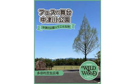 【数量限定】野外音楽フェス 「中津川 WILD WOOD 2026」 2日通し券 （大人1名、中高生1名） フェス ロック ミュージック 観光 旅行 イベント ロックフェス ライブ 音楽 祭 キャンプ F4N-2336