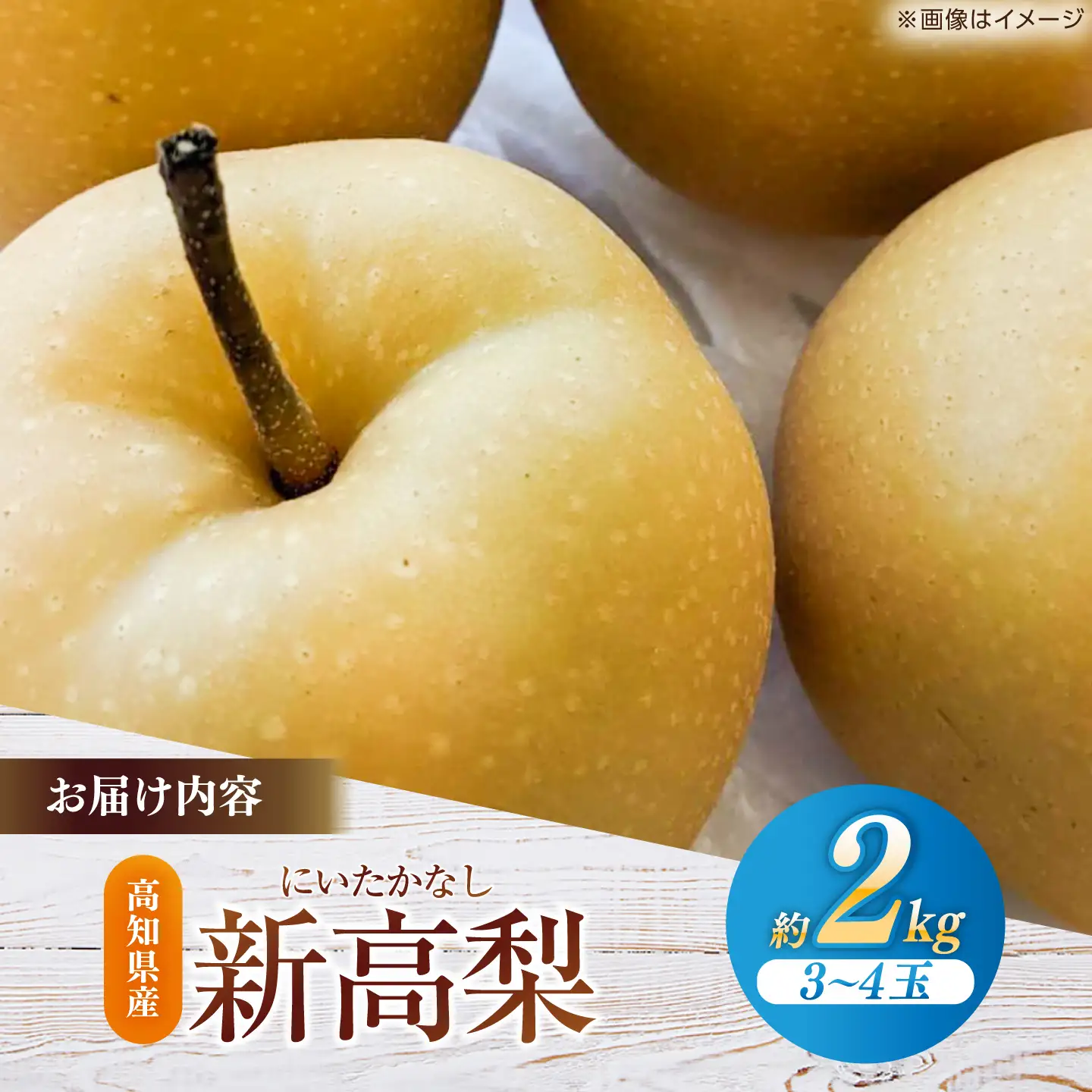 【先行予約】 新高梨 約2kg（3~4玉） 〈2026年9月20日~10月末発送〉 / 高知 針木 新高梨 梨 和梨 果物 フルーツ デザート 【川渕果樹園】[ATHX001]
