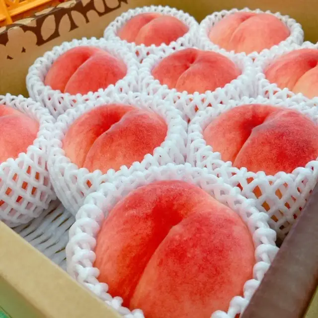 桃（川中島白桃）２.５ｋｇ　特秀品　0047-2605