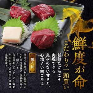 【馬刺し】 新鮮こだわり国産馬刺しセット【馬刺しタレ付き】福岡県産《馬刺し(赤身)・コウネ》 (赤身100g×6P・コウネ50g×2)_国産 馬刺し セット 計 700g 赤身 100g × 6袋 コウネ 50g × 2袋 特製 甘口醤油ダレ 100ml × 2本 福岡県産 新鮮 生食用 真空包装 個包装 急速冷凍 肉 馬肉 ブロック 冷凍 食べ比べ 小分け 便利 低カロリー 高たんぱく お取り寄せ 福岡県 久留米市 送料無料 〔Ah026〕