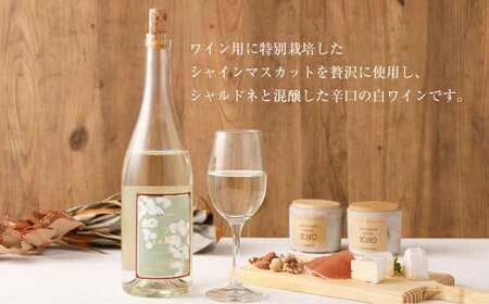 熊本宇城で育ったシャインマスカットを使った 「シャインマスカットワイン」 750ml×1本 ワイン 白ワイン シャインマスカット マスカット 辛口ワイン 辛口 シャルドネ 国産ワイン 九州 熊本県 常温