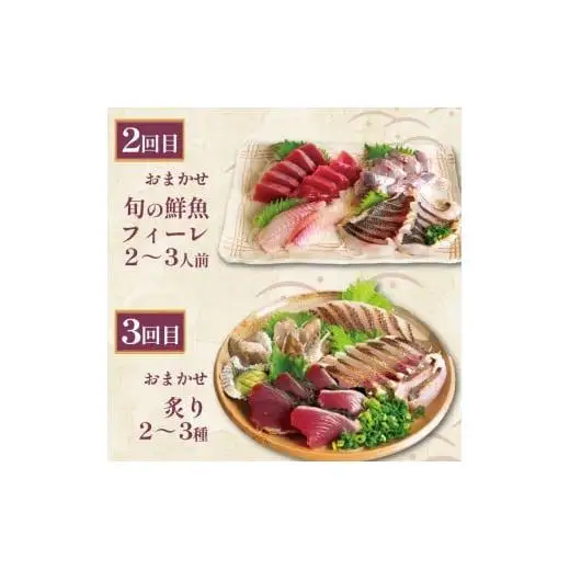 【 刺身 】 刺身定期便3ヶ月
