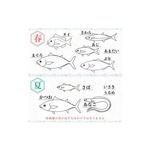 【 鮮魚 】 鮮魚ボックス2kg