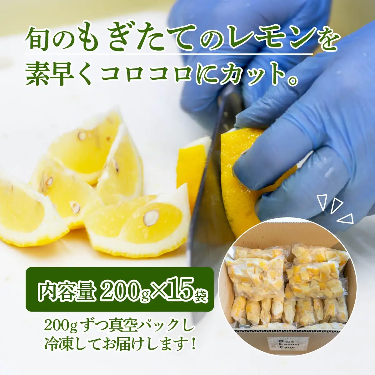 レモン 冷凍 カットレモン 200g×15パック 数量限定
