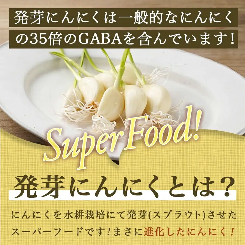 スーパーフード!つまみにんにく 7本入り×3袋※冷蔵≪みやこんじょ特急便≫〔LE-C901-Q〕_(都城市) 水耕栽培 発芽（スプラウト） GABA 体づくり