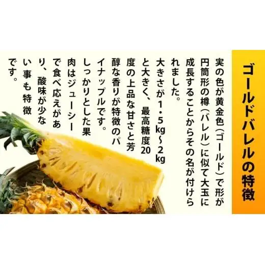 石垣島産完熟ゴールドバレル 1玉 約1.7kg