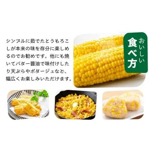 【先行予約2027年1月-5月配送】1番遅くて1番早い⁉ 朝採れプレミアムスイートコーンを皮付きのまま８本お届け！！