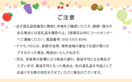 【6ヶ月連続定期便】厳選フルーツ詰合せ【青果コース】3～5品種