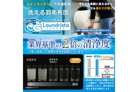 【春夏用】洗える！ 羽毛布団 肌掛け ダブル ダウンケット ホワイトダック93% 0.5kg グレー [川村羽毛 山梨県 韮崎市 20745103]