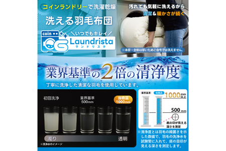 【春夏用】洗える! 肌掛け 羽毛布団 ダウンケット ダブル ホワイトグースダウン93% 0.5kg 抗菌防臭 無地 グレー [川村羽毛 山梨県 韮崎市 20745101]