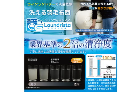 【春夏用】洗える！ 羽毛 肌掛け布団 シングル ホワイトダックダウン 85% 0.3kg (無地 グレー) [川村羽毛 山梨県 韮崎市 20745100]