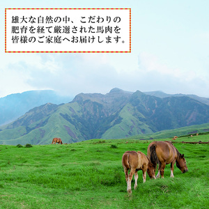 【馬刺しナンバーワン】熊本名物 馬刺し 和牛 赤牛ロース 食べ比べ 合計600g 馬刺し 赤身 100g 和牛ローススライス 500g 熊本肥育 新鮮 阿蘇 熊本 50g小分け 褐毛和種 赤牛 あか牛 和牛 ロース スライス サシ 牛肉 真空パック 契約農場 お歳暮 ギフト 贈答用 記念日 小国町