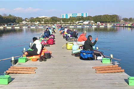 ～つり処椎の木湖～ 1日ご招待券 1枚 ヘラブナ 釣り堀 【へら鮒釣り】