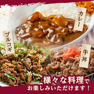 牛肉 【便利な小分け】宮崎牛小間切れ計1kg（200ｇ×5P） 牛肉
