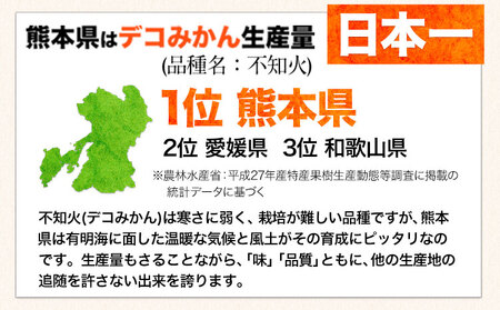 不知火 デコみかん ( デコポン と同品種 ) ご家庭用 《3-7日以内に出荷予定(土日祝除く)》訳あり 熊本県産 ( 荒尾市産含む ) 約2.5kg(12-24玉前後) 柑橘みかん フルーツ 不知火 訳アリ でこみかん 果物 5kg