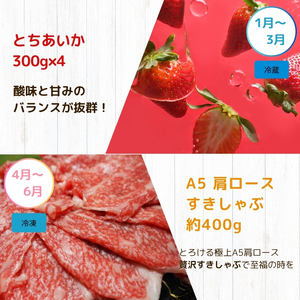 【定期便4回】真岡の魅力 満載 定期便4回 いちご 餃子 とちぎ和牛 こしひかり 