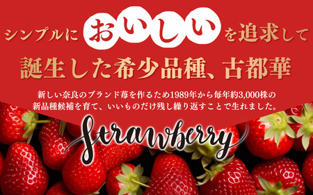 平群 の 古都華 2L ～ 3L サイズ 2ケース （ 4パック ） | フルーツ いちご 古都華 先行予約 奈良県 平群町